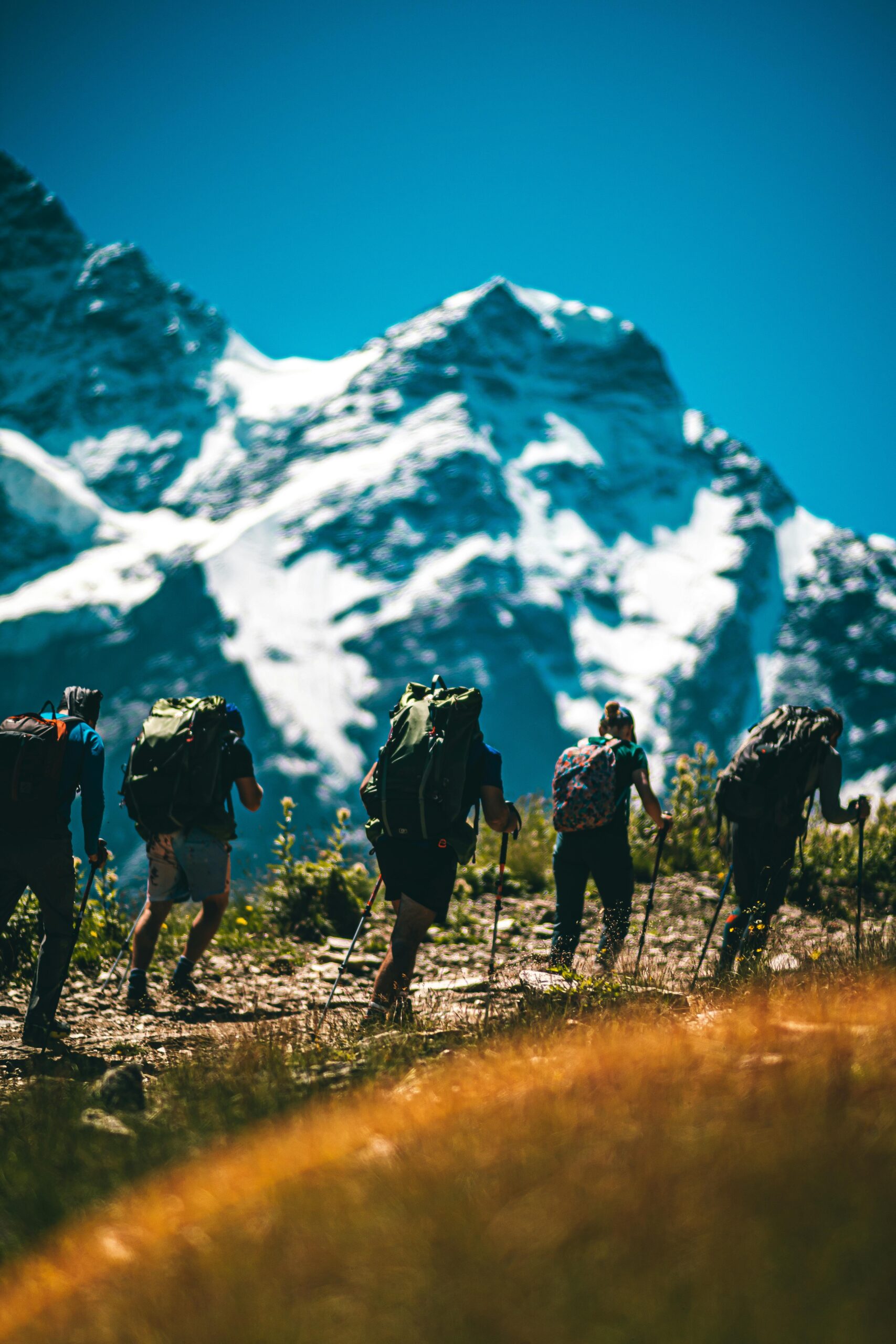 A group of hikers trekking on a sunny day by snowy mountains, showcasing adventure and exploration.